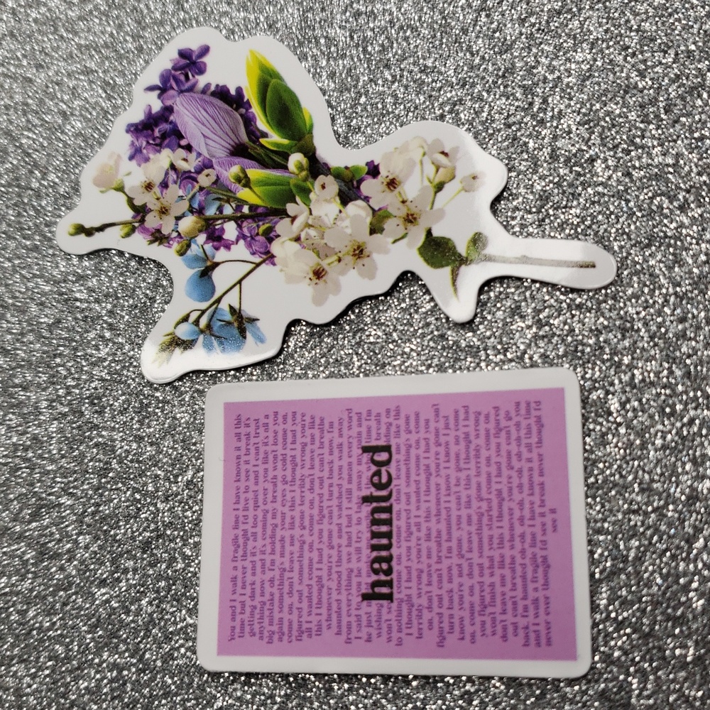 10/$10 Taylor Swift SPEAK NOW Waterproof Sticker